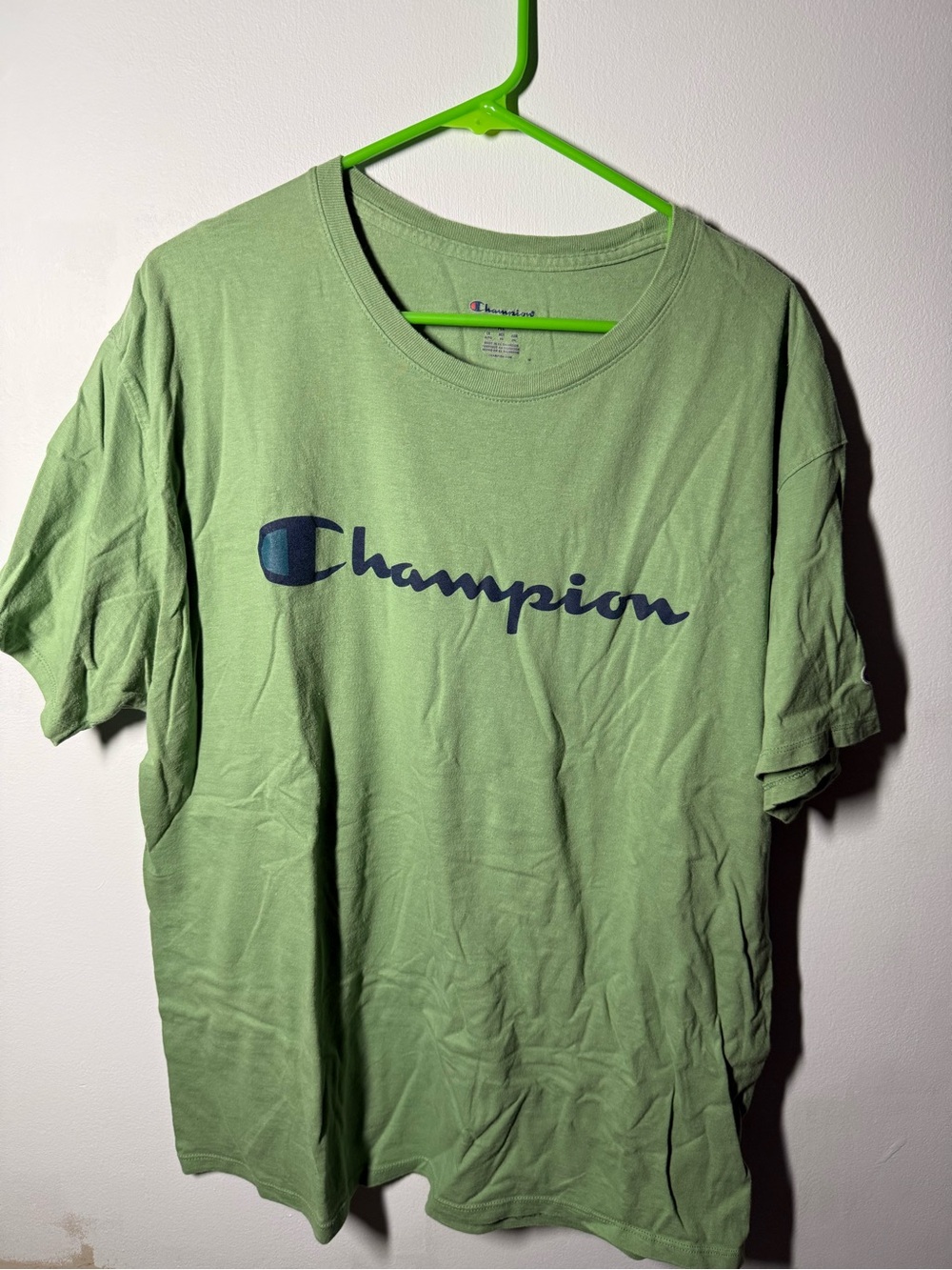 Champion Short-Sleeve Logo Tee in Light Green with Navy Script